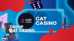 Обзор Cat Casino: быстрая регистрация, шикарный бонус в 100% бонус и 150 бесплатных фриспинов! 